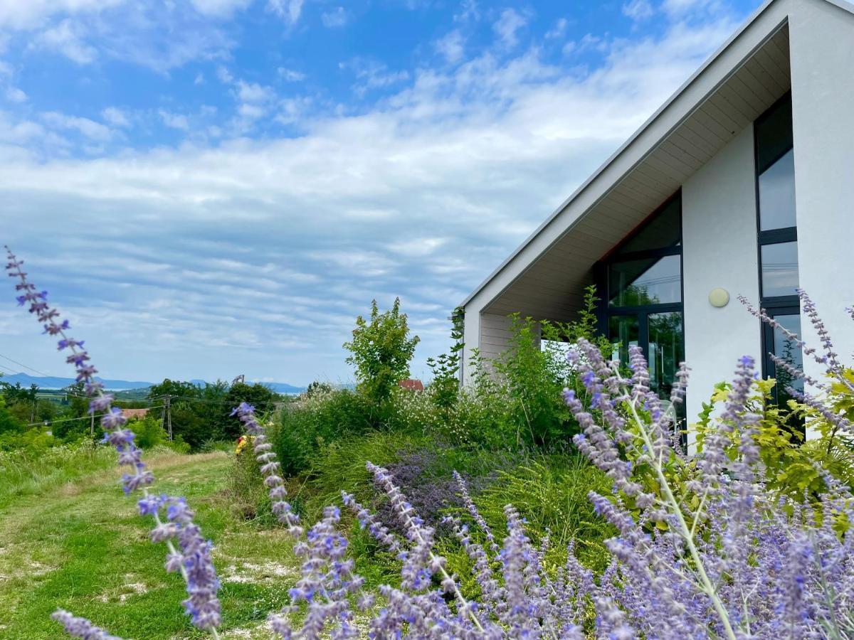 Wine & Space Lodge At Lake Balaton Balatonlelle Exterior foto